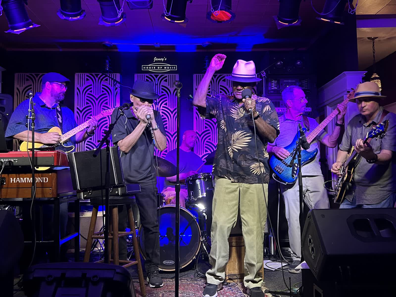 Empty Belly Blues Band playing a live set in a club venue